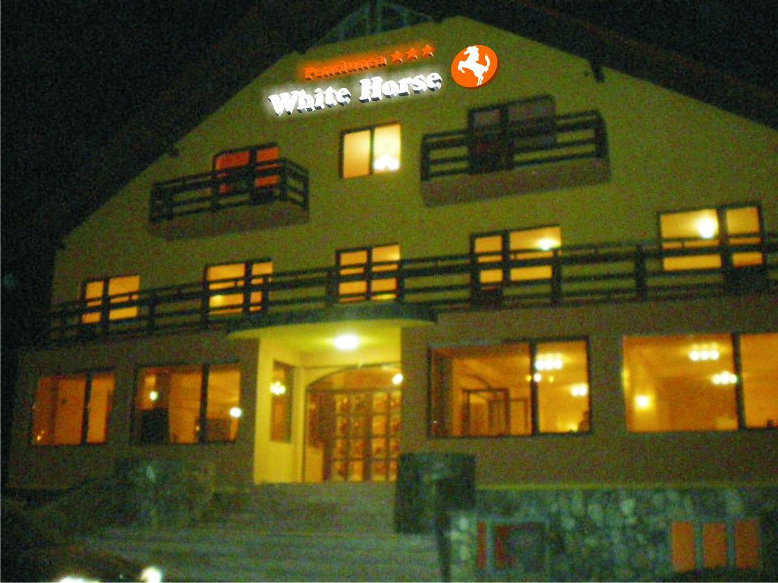 White Horse Hotel Predeal Exterior photo